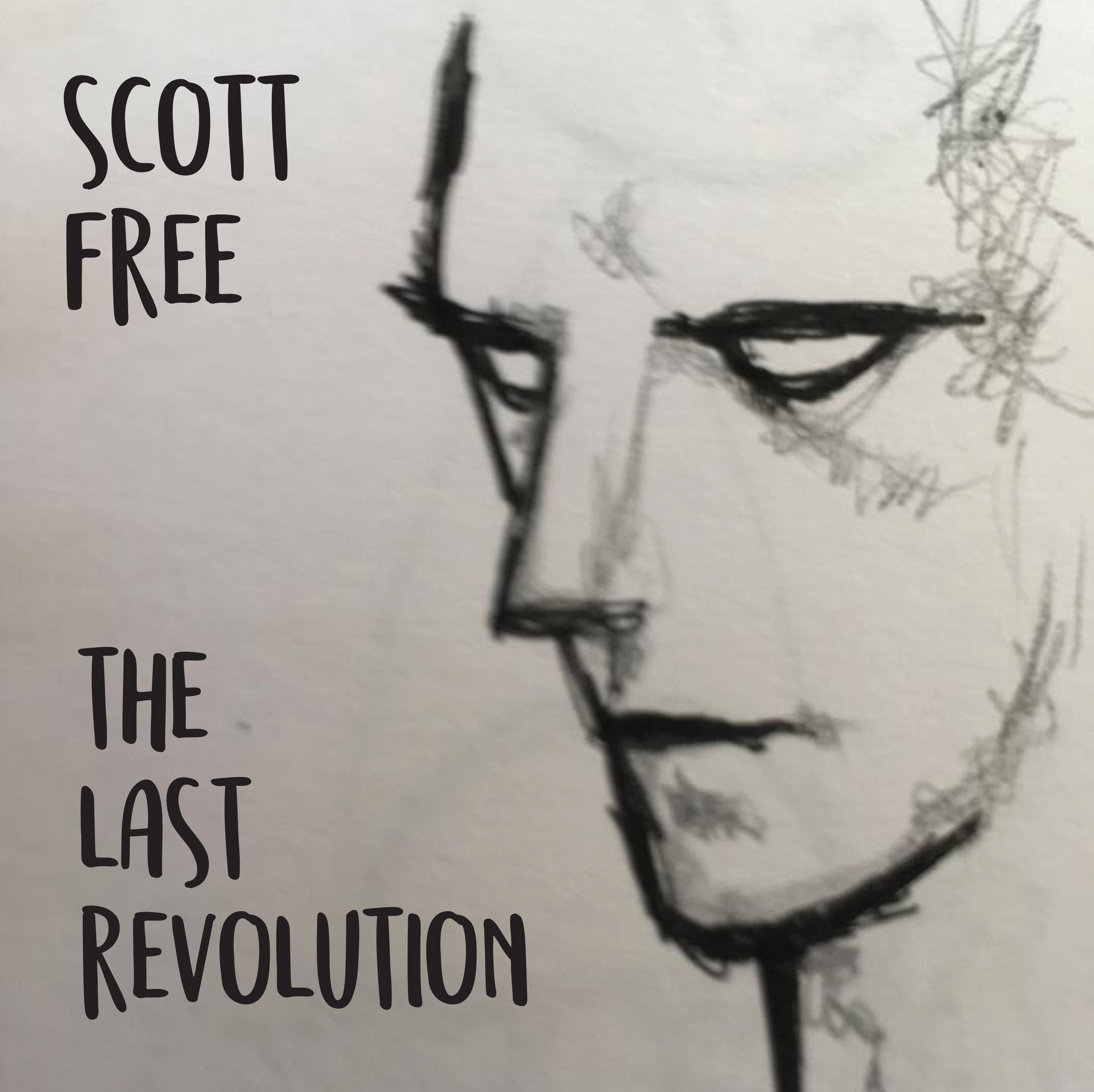 The Last Revolution