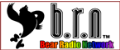 bear radio